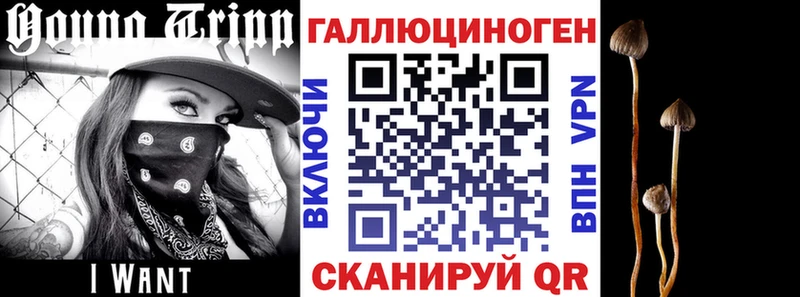 Галлюциногенные грибы мицелий KRAKEN сайт Владикавказ